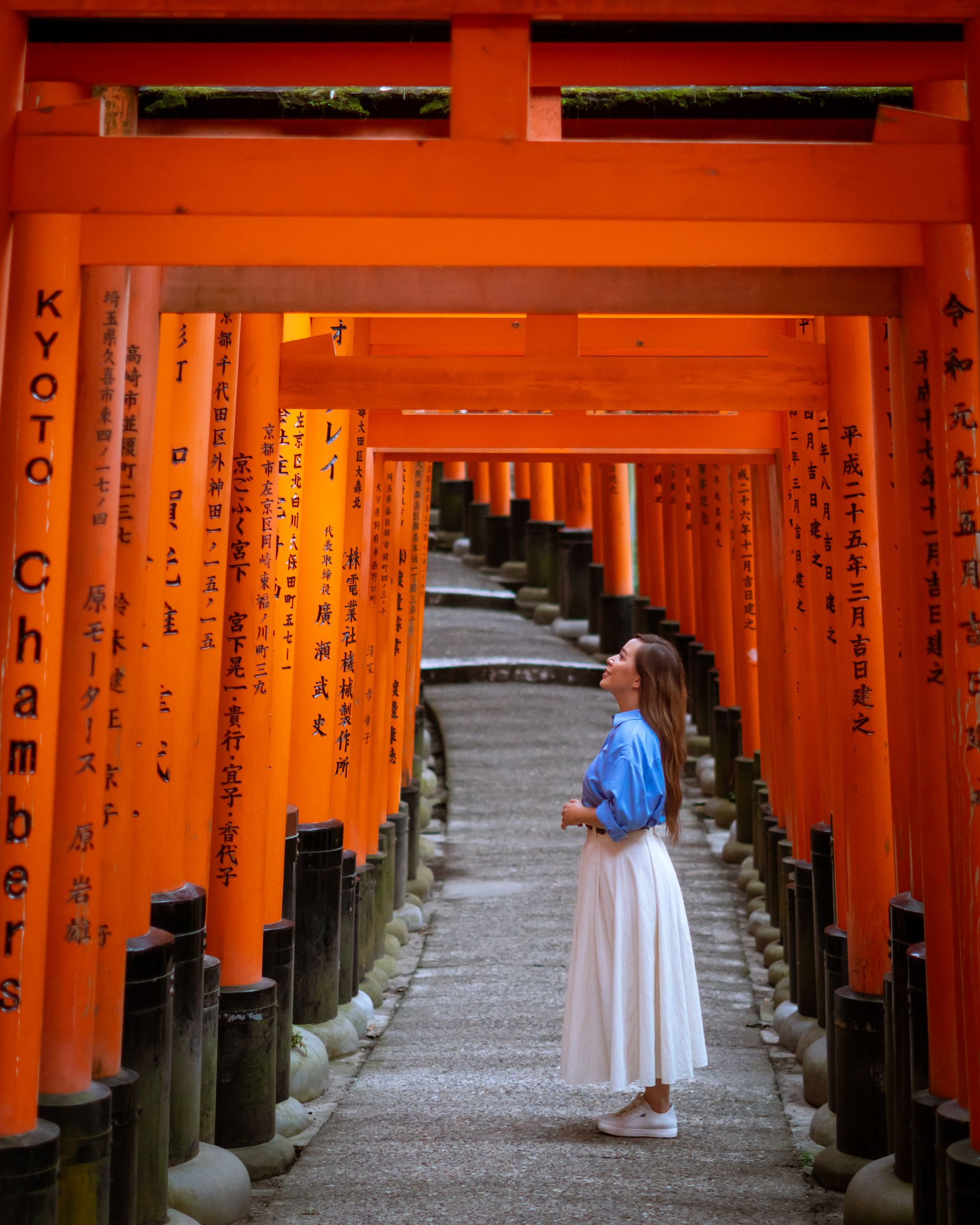 Torii gates at Fushimi Inari in Kyoto, Japan